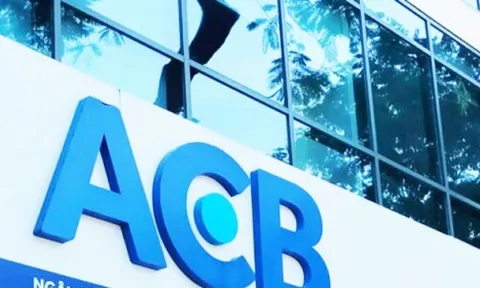 Ngân hàng ACB: Dòng tiền âm gần 9.874 tỷ, nợ có khả năng mất vốn tăng mạnh lên hơn 3.000 tỷ