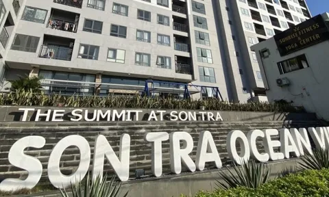 Đà Nẵng: Yêu cầu kiểm điểm do cấp sai sổ đỏ dự án The Summit