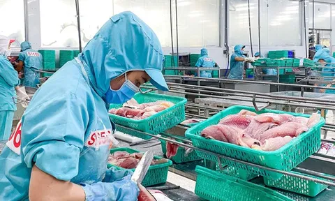 Doanh nghiệp thủy sản bứt phá sau giai đoạn trầm lắng