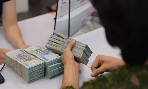 Xem xét sửa quy định khống chế chi phí lãi vay với doanh nghiệp có giao dịch liên kết 30%