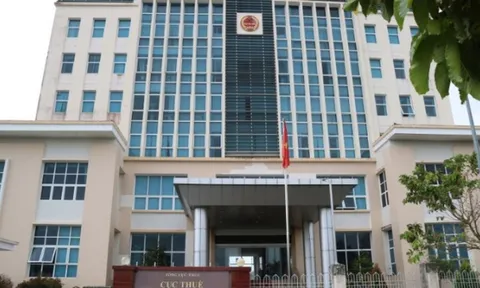 Vĩnh Long: 136 doanh nghiệp nợ thuế hơn 13 tỷ đồng
