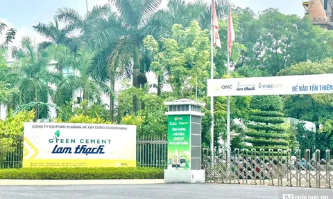 Vay nợ của Xi măng Quảng Ninh vượt mốc nghìn tỷ trong năm 2025