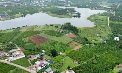 Lâm Đồng thu hồi hơn 25.000 m2 đất của Công ty Hùng Hậu