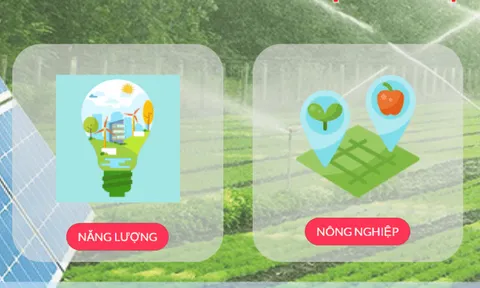 Công ty Năng Lượng Việt: Bất thường về năng lực trong đấu thầu đến nợ tăng dần?