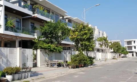 Công ty Nhà Đa Phước, Hai Hạnh và loạt doanh nghiệp nợ thuế