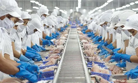 Sản lượng và giá bán giảm kéo lùi lợi nhuận của Vĩnh Hoàn