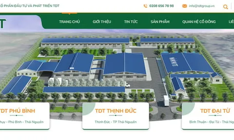 Kê khai thiếu thuế, Công ty Đầu tư và Phát triển TDT bị phạt và truy thu gần 2,3 tỷ đồng