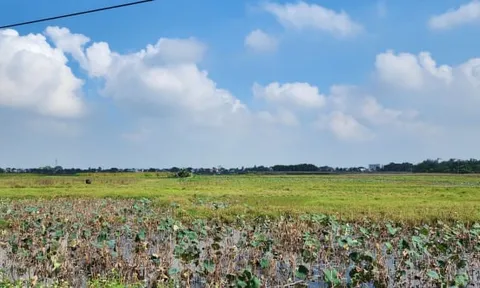 Dự án 2.500 tỷ đồng của Nguyễn Hoàng Group tại Thanh Hóa bị chậm tiến độ