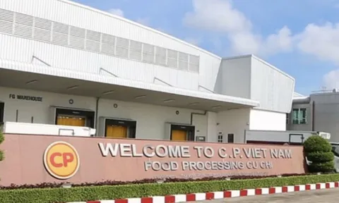 C.P. Foods giảm doanh thu toàn cầu vì Việt Nam sụt mạnh 17% dù Trung Quốc tăng 36%
