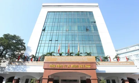 Vicem đầu tư tài chính lỗ gần 8.000 tỷ đồng, tiềm ẩn rủi ro, mất vốn đầu tư