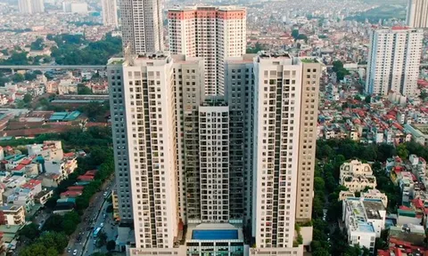 Hano-vid lãi ròng gần 78 tỷ đồng