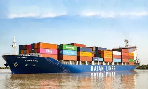 Đặt cược vào cảng biển, Vận tải Hải An nâng lợi nhuận 2025 lên 1.140 tỷ