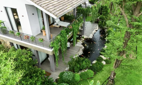Nhà dưới tán rừng của Ecopark: Xóa nhòa ranh giới giữa tiện nghi và sinh thái
