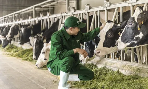 Vinamilk nhận loạt giải thưởng về quản trị và phát triển bền vững