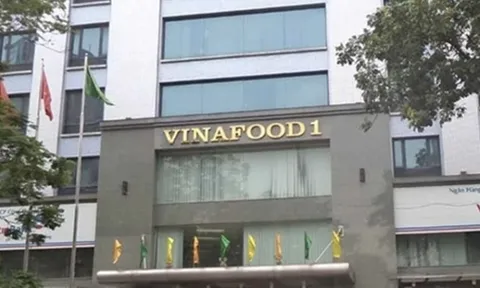 Vừa trúng thầu lớn ở Indonesia, Vinafood 1 đang làm ăn ra sao?