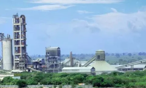 Bị hủy tư cách đại chúng, Xi măng Thái Bình báo lãi ròng vượt trội