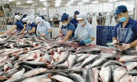 Tồn kho phình to bào mòn lợi nhuận doanh nghiệp thủy sản