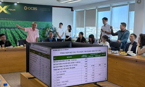 HAGL (HOSE: HAG) công bố lãi kỷ lục 2.800 tỷ đồng năm 2025: Hoàn nhập lãi vay và hoán đổi nợ giúp “bẻ lái” lợi nhuận