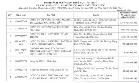 Dầu khí Đông Phương, Xây dựng Ngân Thuận và nhiều cá nhân, doanh nghiệp tại Cần Thơ nợ gần 3.830 tỷ đồng