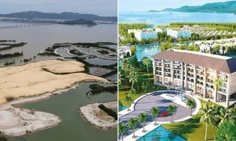 Bình Định: Thị Nại Eco Bay và loạt doanh nghiệp địa ốc nợ thuế “khủng”