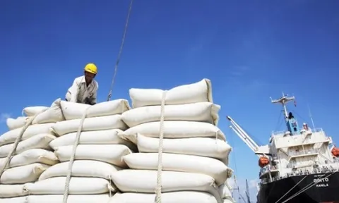 Gạo Việt xuất khẩu giá cao nhất thế giới, doanh nghiệp có lãi đậm?
