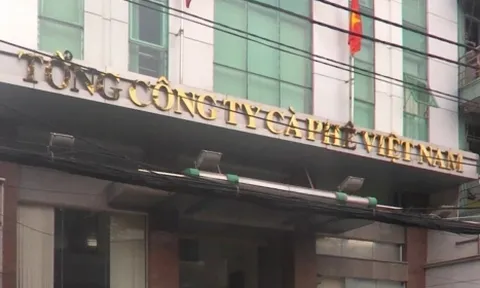 Sai phạm trong quản lý đất đai tại 7 đơn vị trực thuộc Vinacafe