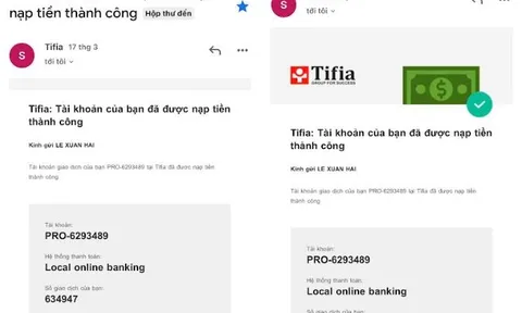 Cần làm rõ những dấu hiệu ‘lừa đảo’ của sàn Forex Tifia