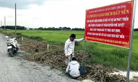 Tp.HCM chỉ đạo ngăn ngừa lừa đảo qua mua bán đất nền, căn hộ