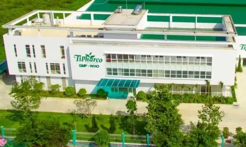 Dược phẩm Tipharco bị phạt và truy thu thuế hơn 530 triệu đồng