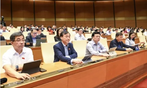Quy định mới về giá khởi điểm đấu giá số điện thoại đẹp