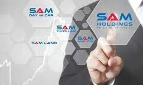 SAM Holdings (HOSE: SAM): Lợi nhuận lao dốc, giao dịch gom cổ phiếu của cổ đông liên quan liên tiếp đổ vỡ