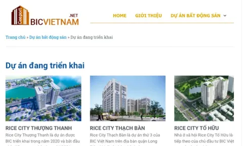 Soi tiềm lực 'ông trùm' nhà ở xã hội BIC Việt Nam