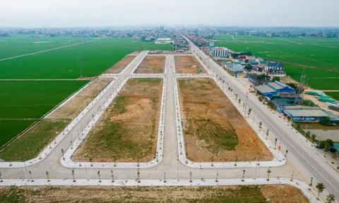 Thanh Hóa công bố 685 lô đất được phân lô bán nền tại Khu đô thị Newhose City