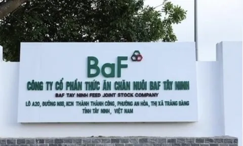 BAF Việt Nam: Liên tiếp thâu tóm 7 DN chăn nuôi trong hơn 1 tháng