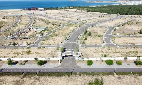 Bình Định lệnh dừng mua bán đất tại Nhơn Hội New City của Phát Đạt, Danh Khôi