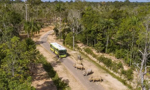Vinpearl Safari Phú Quốc lọt top đầu vườn thú và thủy cung tại Châu Á