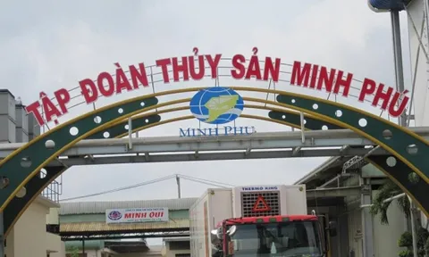 Thủy sản Minh Phú sắp trả cổ tức năm 2023, tỷ lệ 7,5%