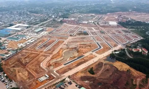 Bất động sản khốn đốn, Vinaconex “khốn khổ”
