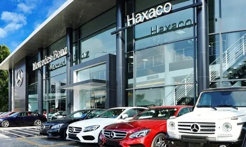 Haxaco (HOSE: HAX) bị xử phạt gần 92,1 triệu đồng vì khai sai thuế, báo lỗ gần 26 tỷ trong quý III/2025