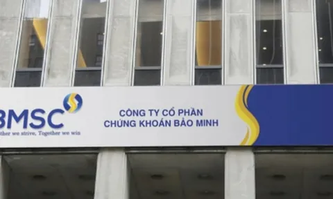 Chứng khoán Bảo Minh (UPCoM: BMS) thoái sạch vốn khỏi Bidiphar, biến động nhân sự và chiến lược nợ vay hé lộ kế hoạch tái cơ cấu