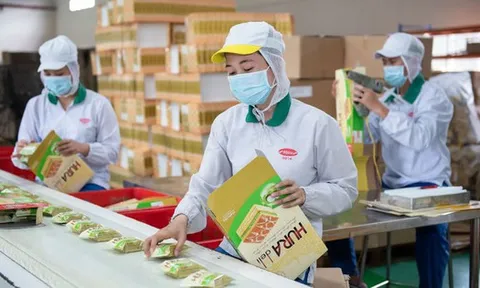 Cuộc ly biệt sau những cái bắt tay tại Bibica