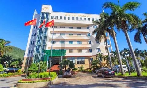 Hơn 13 triệu cổ phiếu PTB sắp được chào bán bằng 1/4 thị giá