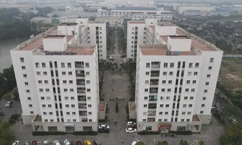 Chủ hàng trăm căn hộ tái định cư ở Hà Nội vi phạm