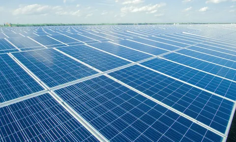 Bamboo Capital rót thêm 500 tỷ đồng vào công ty năng lượng tái tạo BCG Energy