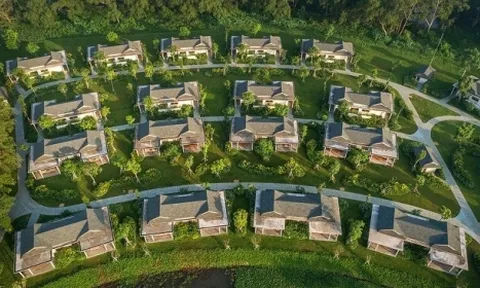 Thanh tra Chính phủ: Xem xét tính lại giá đất tại dự án KĐT du lịch sinh thái cồn Ấu