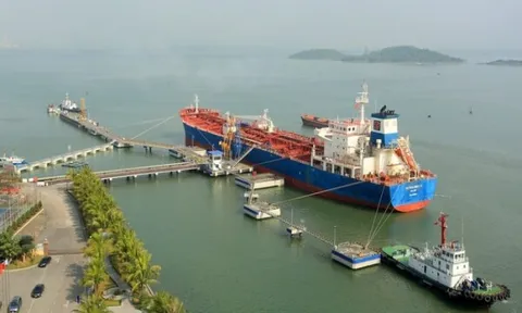 Vận tải và dịch vụ Petrolimex Hải Phòng: Lợi nhuận 2023 giảm tới 95%