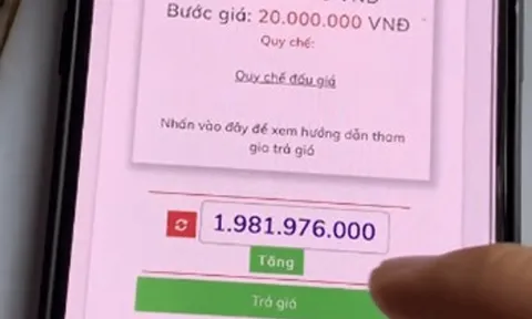 Công ty Đấu giá Thành An: Khách hàng không thể trả giá trong cuộc đấu tài sản của công ty CP Vận tải sông biển Cần Thơ