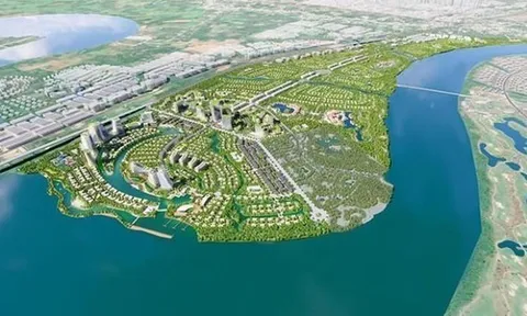 DIC Corp muốn chào bán 100 triệu cổ phiếu, huy động 1.500 tỷ đồng cho Khu đô thị Long Tân và trả lãi trái phiếu