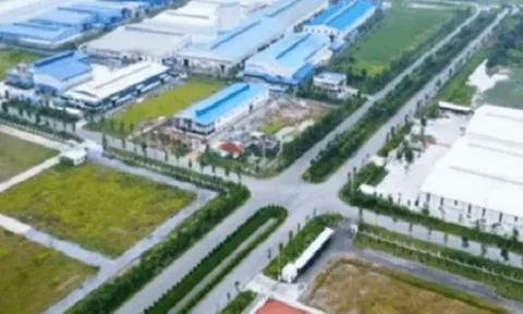 Công ty con 7 tháng tuổi của Hòa Phát muốn làm dự án gần 5.000 tỷ đồng