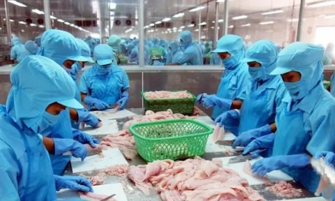 Vĩnh Hoàn sắp trả cổ tức bằng cổ phiếu với tỷ lệ 20%